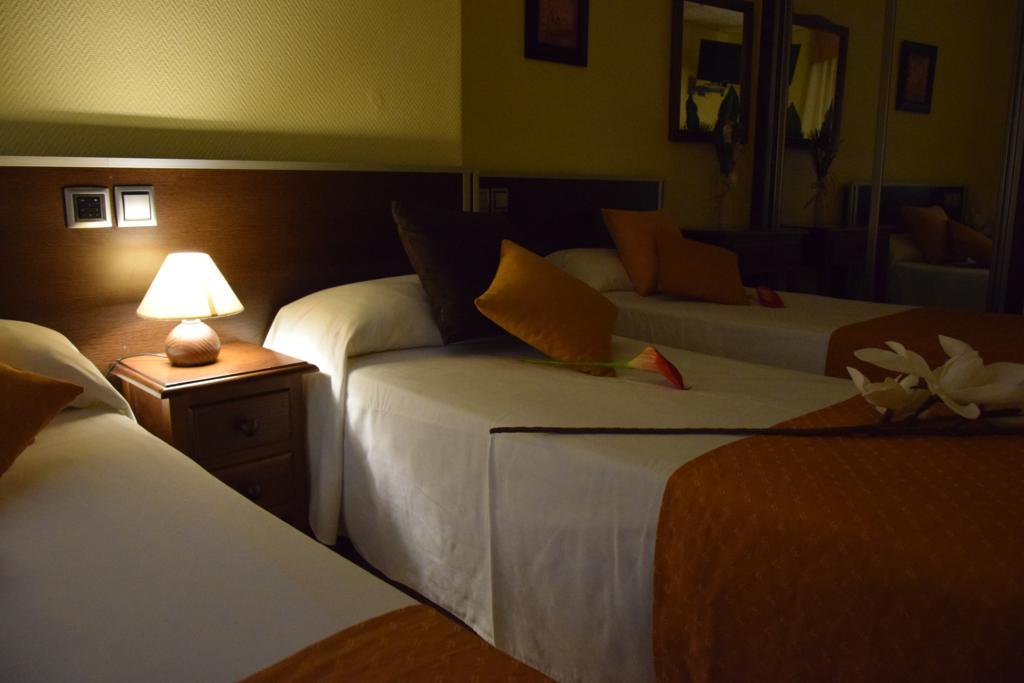 Hotel Complutense 2*